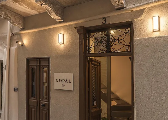 Copal Simple Staying 하니아